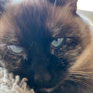 Meet your Posher, Patti